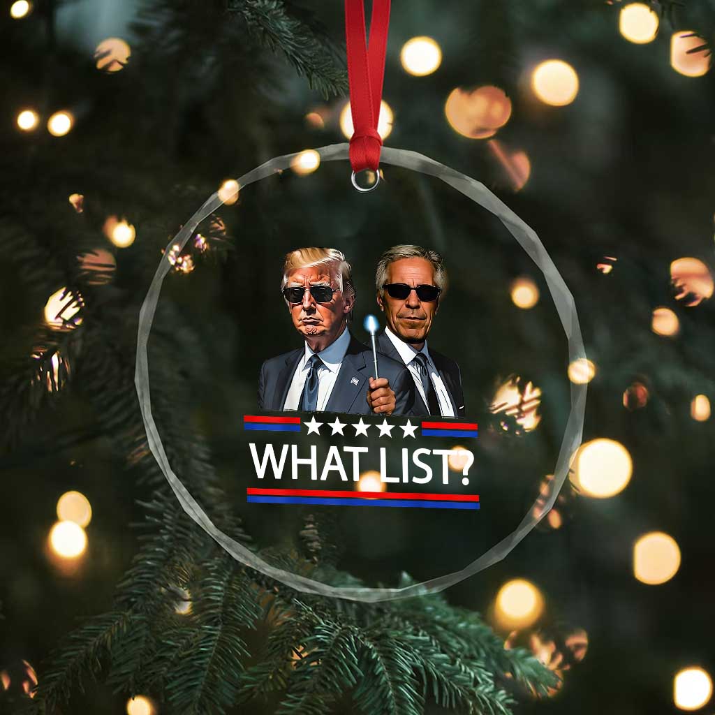 Funny Political Conspiracy Parody Crystal Glass Ornament What List Men in Black Meme TS02 Print Your Wear