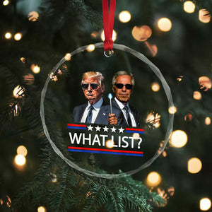 Funny Political Conspiracy Parody Crystal Glass Ornament What List Men in Black Meme TS02 Print Your Wear