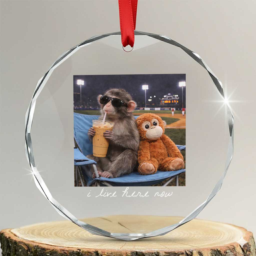 Funny Punch Monkey Baseball Crystal Glass Ornament I Live Here Now Ballpark Graphic TS14 Transparent Glass 3'' Circle Print Your Wear