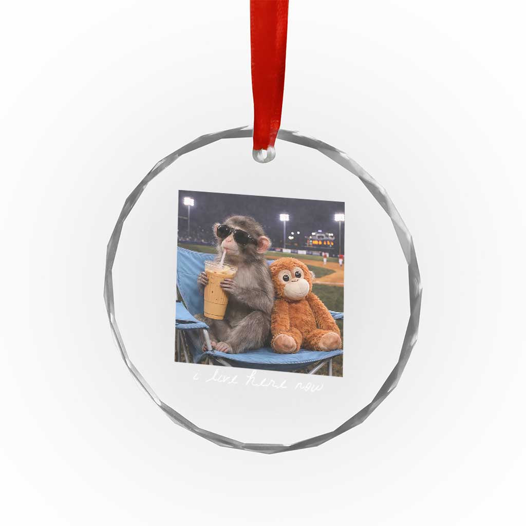 Funny Punch Monkey Baseball Crystal Glass Ornament I Live Here Now Ballpark Graphic TS14 Print Your Wear
