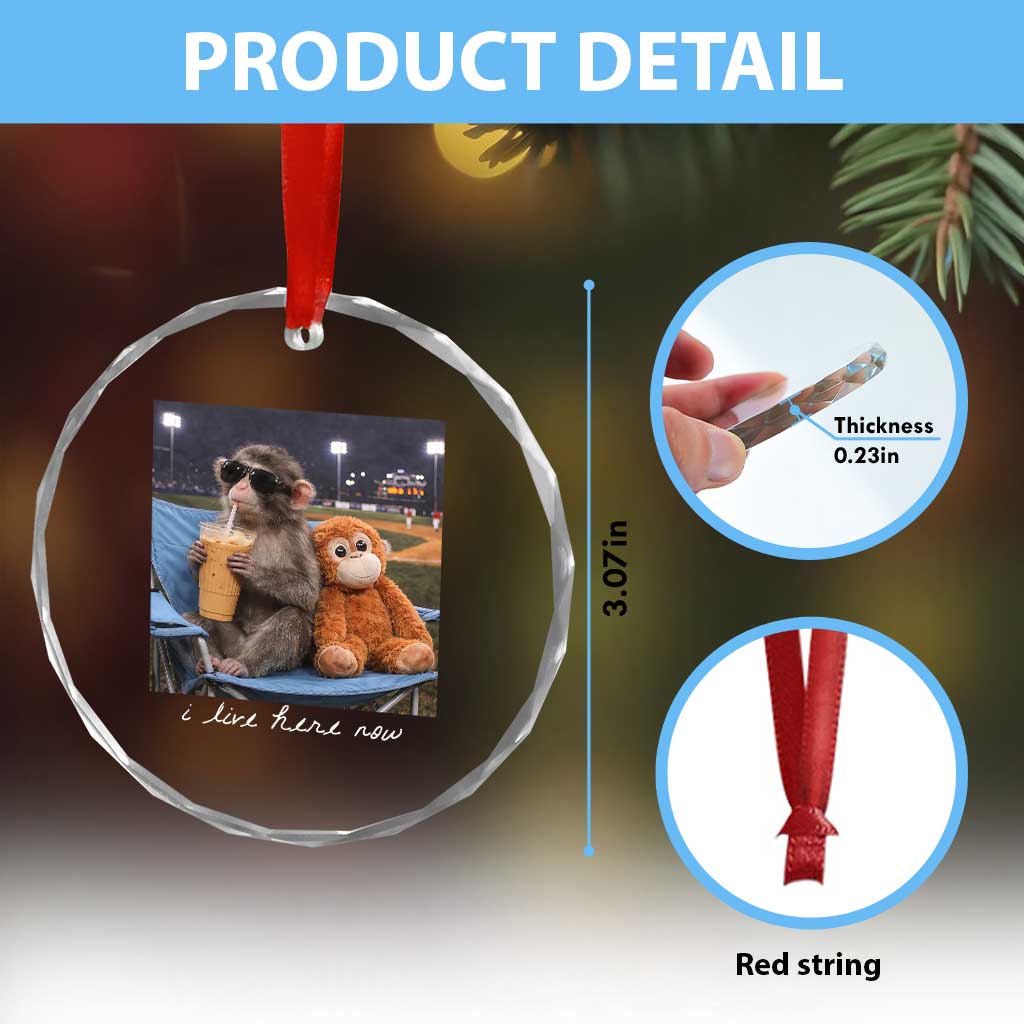 Funny Punch Monkey Baseball Crystal Glass Ornament I Live Here Now Ballpark Graphic TS14 Print Your Wear