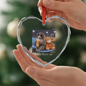 Funny Punch Monkey Baseball Heart Crystal Glass Ornament I Live Here Now Ballpark Graphic TS14 Print Your Wear