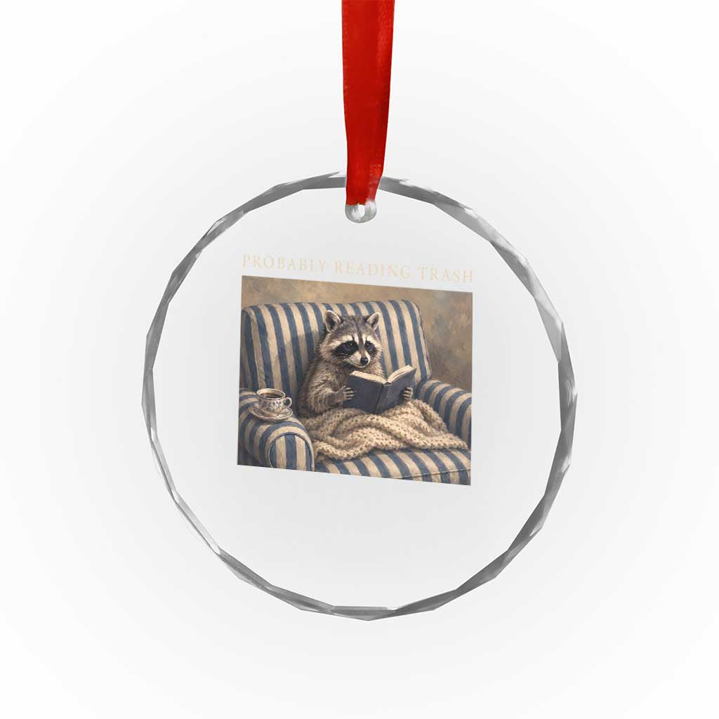 Funny Raccoon Book Lover Crystal Glass Ornament Probably Reading Trash Bookworms Teachers