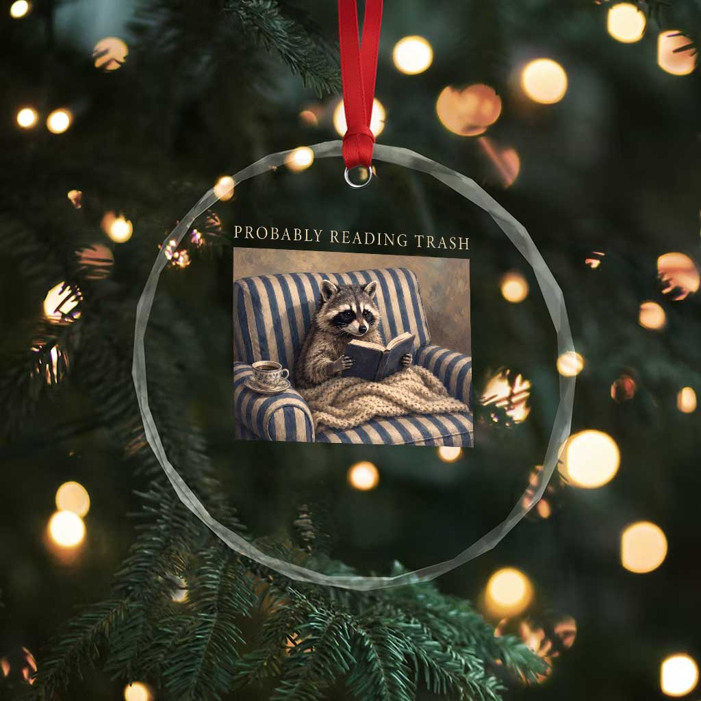 Funny Raccoon Book Lover Crystal Glass Ornament Probably Reading Trash Bookworms Teachers
