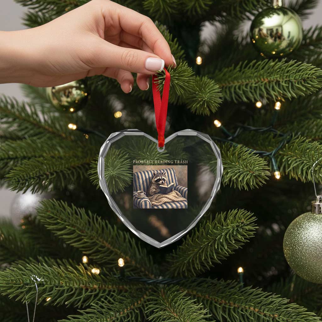 Funny Raccoon Book Lover Heart Crystal Glass Ornament Probably Reading Trash Bookworms Teachers