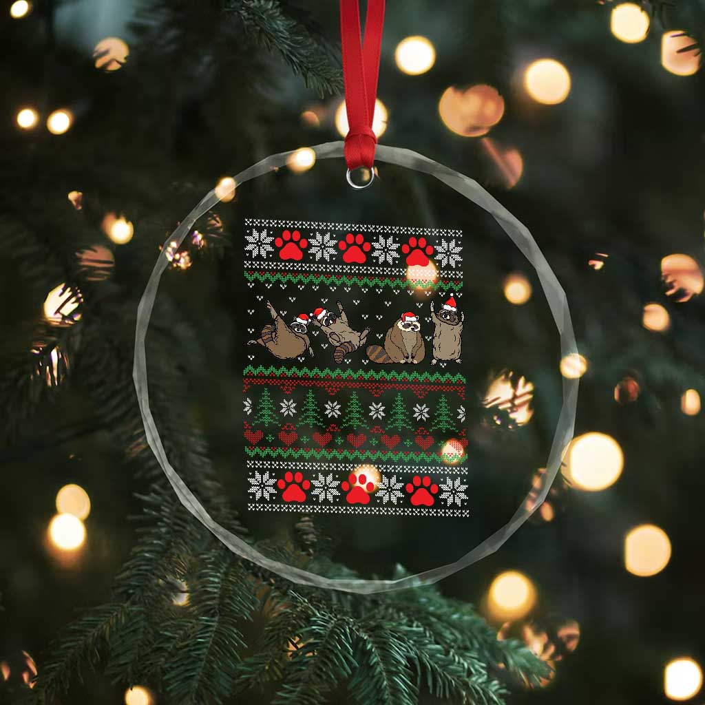 Funny Raccoon Crystal Glass Ornament Funny Gifts For Women Men Raccoon Lovers TS10 Print Your Wear