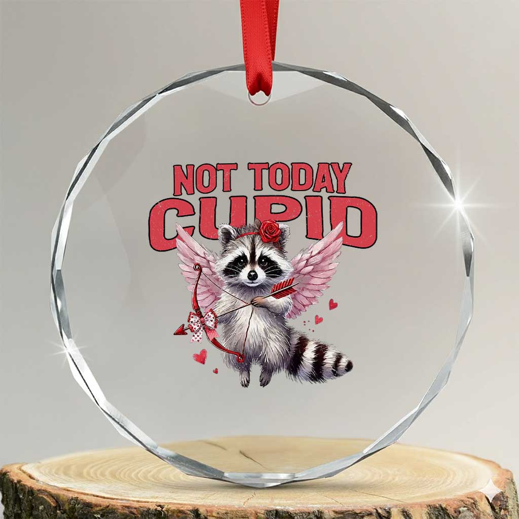 Funny Raccoon Cupid Anti Valentine Crystal Glass Ornament Not Today Cupid TS12 Transparent Glass 3'' Circle Print Your Wear