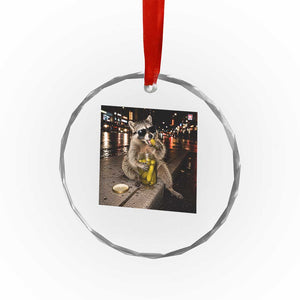 Funny Raccoon Eating Pickles Meme Crystal Glass Ornament TS10 Print Your Wear
