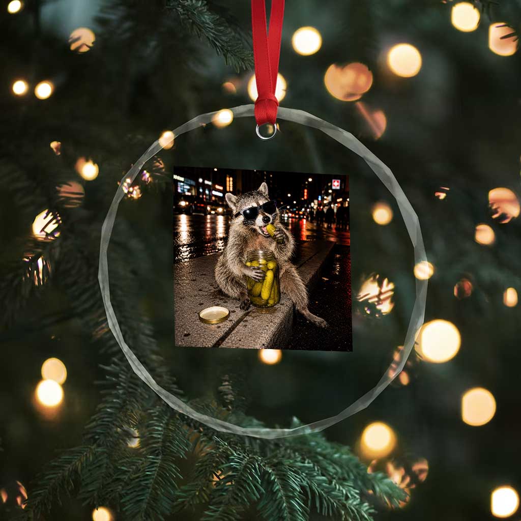 Funny Raccoon Eating Pickles Meme Crystal Glass Ornament TS10 Print Your Wear