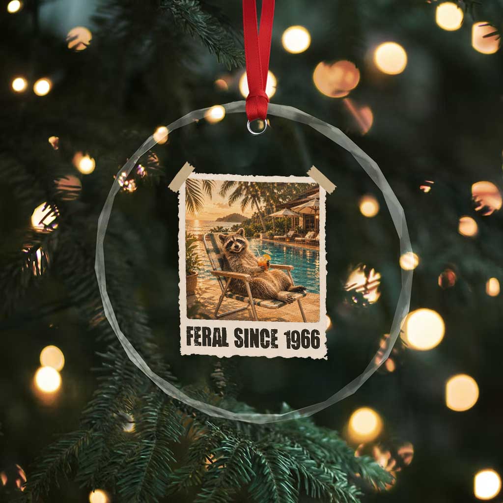 Funny Raccoon Feral Since 1966 60th Birthday Crystal Glass Ornament Vintage 60 Year Old Gift