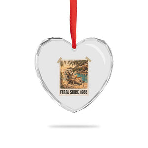Funny Raccoon Feral Since 1966 60th Birthday Heart Crystal Glass Ornament Vintage 60 Year Old Gift