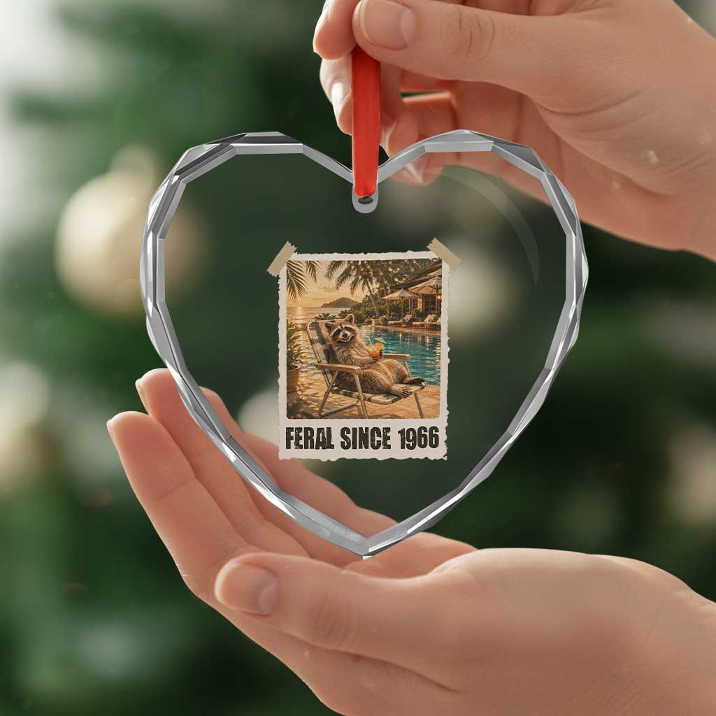 Funny Raccoon Feral Since 1966 60th Birthday Heart Crystal Glass Ornament Vintage 60 Year Old Gift