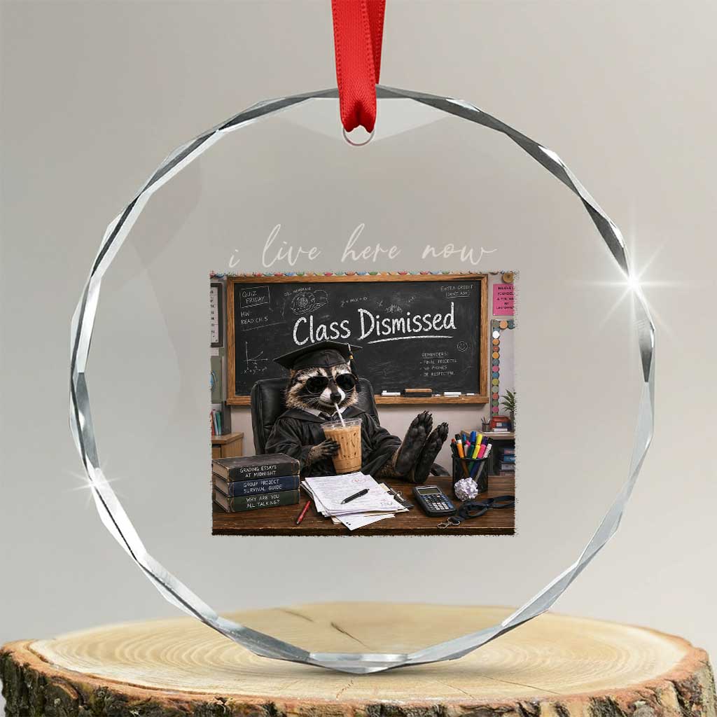 Funny Raccoon Graduation Crystal Glass Ornament I Live Here Now TS14 Transparent Glass 3'' Circle Print Your Wear