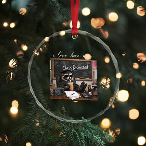 Funny Raccoon Graduation Crystal Glass Ornament I Live Here Now TS14 Print Your Wear
