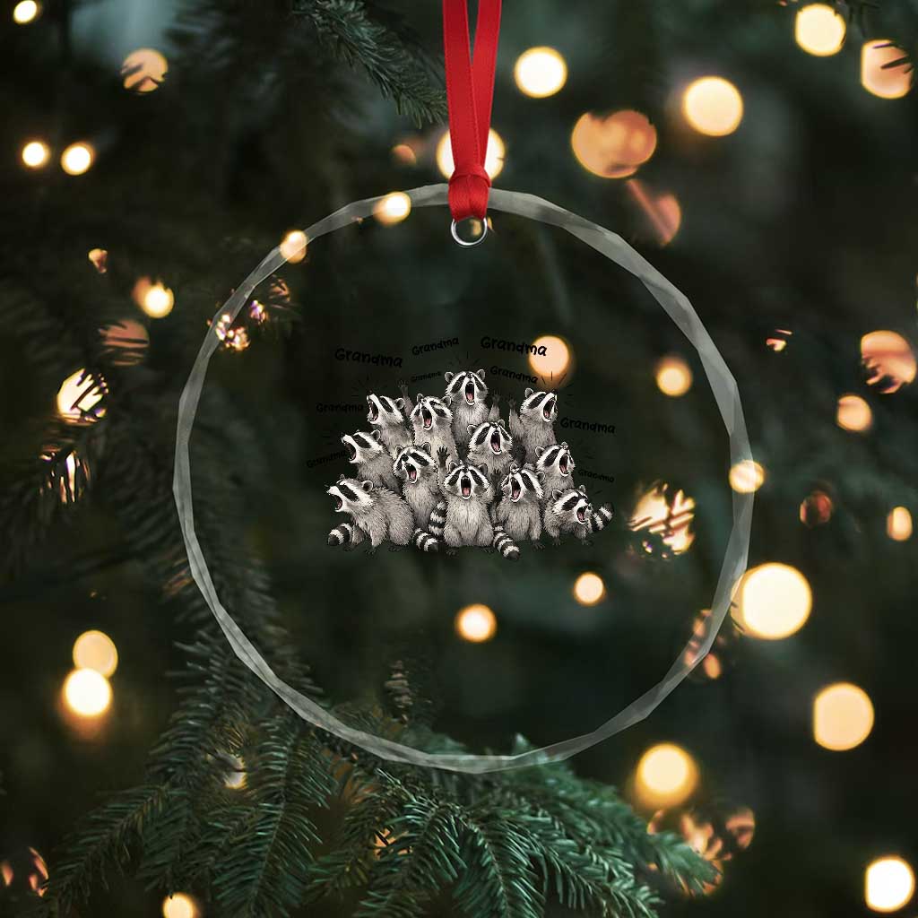 Funny Raccoon Grandma Crystal Glass Ornament Grandmother Chaos Trash Panda TS12 Print Your Wear