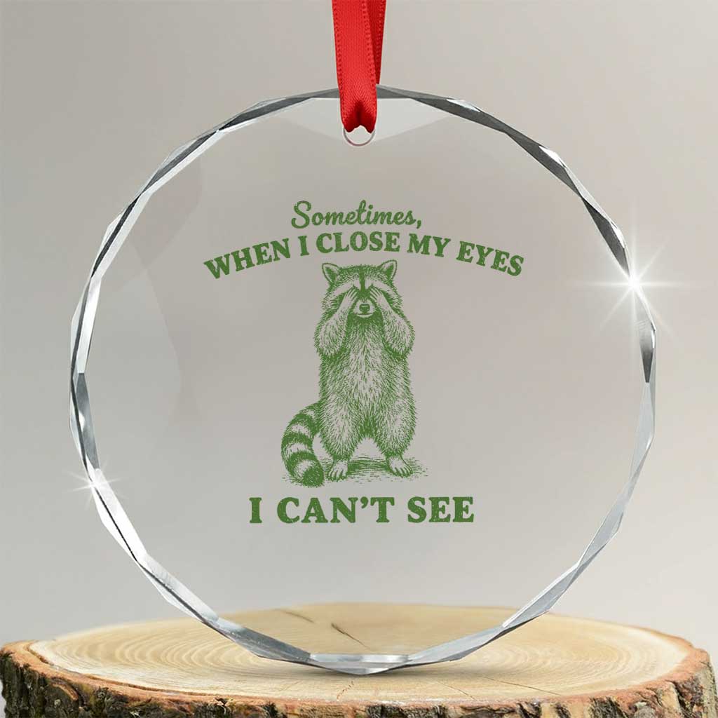 Funny Raccoon Meme Crystal Glass Ornament Sometimes When I Close My Eyes I Cant See Vintage Trash Panda TS10 Transparent Glass 3'' Circle Print Your Wear