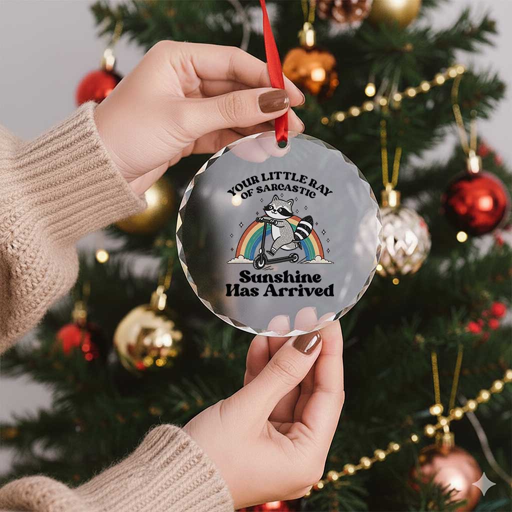 Funny Raccoon Rainbow Crystal Glass Ornament Your Little Ray Of Sarcastic Sunshine Has Arrived TS14 Print Your Wear