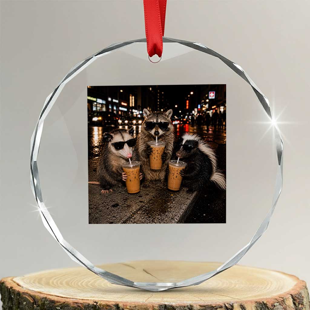 Funny Raccoon Skunk Possum Drinking Iced Coffee Crystal Glass Ornament Support Local Street Cats Retro Animal Meme TS10 Transparent Glass 3'' Circle Print Your Wear