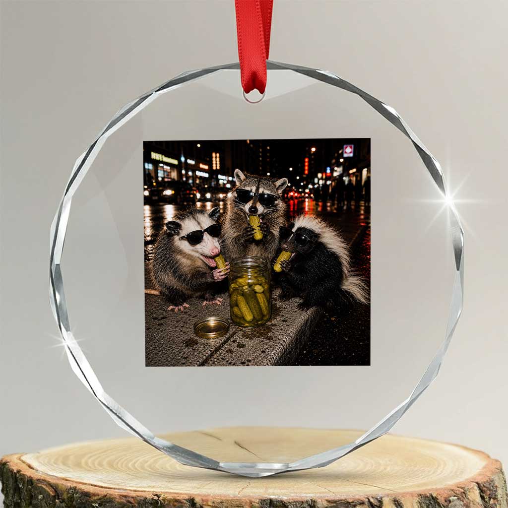 Funny Raccoon Skunk Possum Eating Pickles Crystal Glass Ornament Support Local Street Cats Retro Animal Meme TS10 Transparent Glass 3'' Circle Print Your Wear