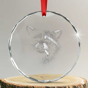Funny Raccoon Smoking Cigarette Meme Crystal Glass Ornament Trash Panda Face Y2K Graphic TS11 Transparent Glass 3'' Circle Print Your Wear
