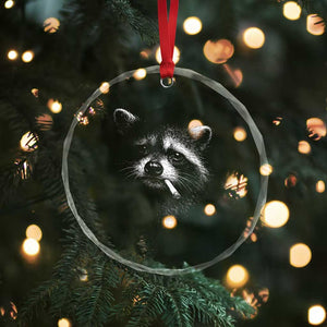 Funny Raccoon Smoking Cigarette Meme Crystal Glass Ornament Trash Panda Face Y2K Graphic TS11 Print Your Wear