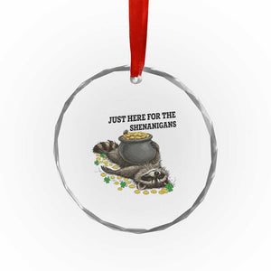 Funny Raccoon St Patricks Day Meme Crystal Glass Ornament Just Here For The Shenanigans TS14 Print Your Wear