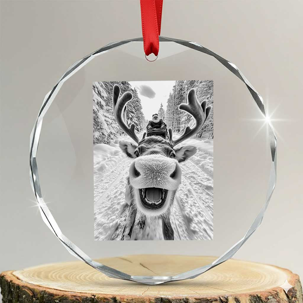 Funny Reindeer Selfie Crystal Glass Ornament TS10 Transparent Glass 3'' Circle Print Your Wear