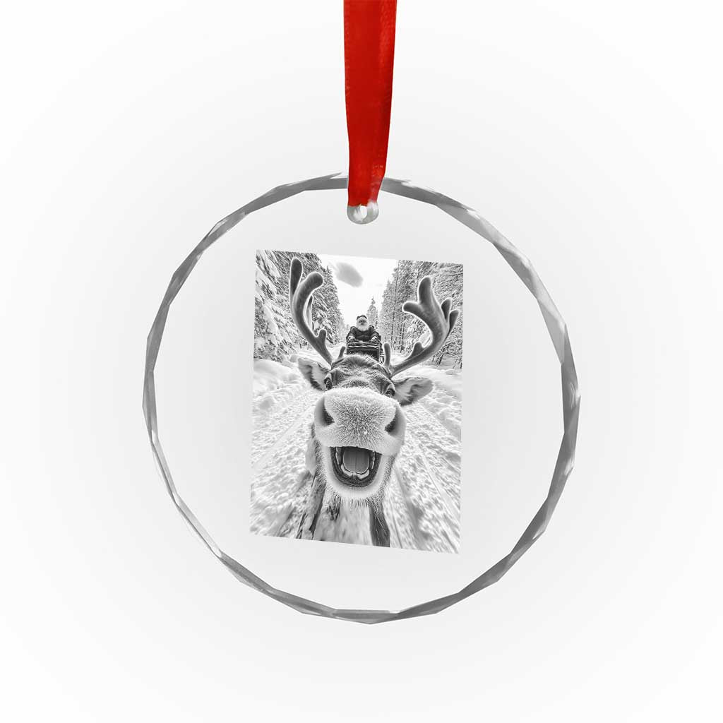 Funny Reindeer Selfie Crystal Glass Ornament TS10 Print Your Wear