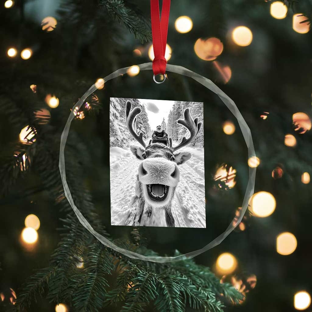 Funny Reindeer Selfie Crystal Glass Ornament TS10 Print Your Wear