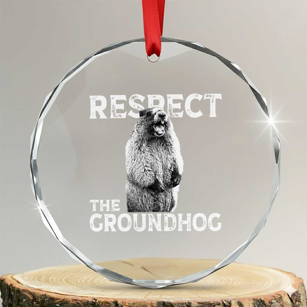 Funny Respect The Groundhog Crystal Glass Ornament Screaming Woodchuck Meme Groundhog Day TS11 Transparent Glass 3'' Circle Print Your Wear