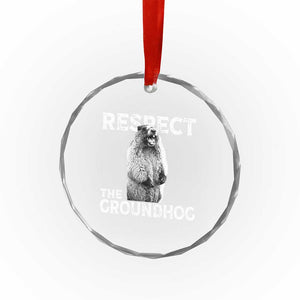 Funny Respect The Groundhog Crystal Glass Ornament Screaming Woodchuck Meme Groundhog Day TS11 Print Your Wear