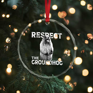 Funny Respect The Groundhog Crystal Glass Ornament Screaming Woodchuck Meme Groundhog Day TS11 Print Your Wear