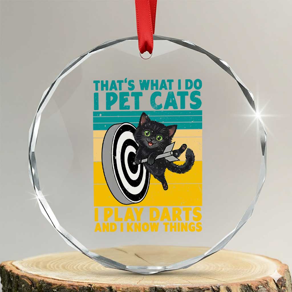 Funny Retro Sunset Cat Darts Crystal Glass Ornament I Pet Cats I Play Darts And I Know Things TS12 Transparent Glass 3'' Circle Print Your Wear