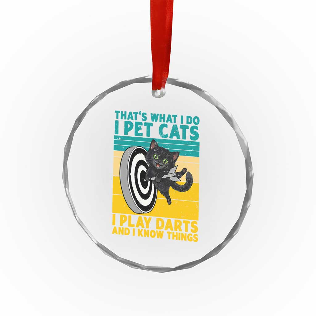 Funny Retro Sunset Cat Darts Crystal Glass Ornament I Pet Cats I Play Darts And I Know Things TS12 Print Your Wear