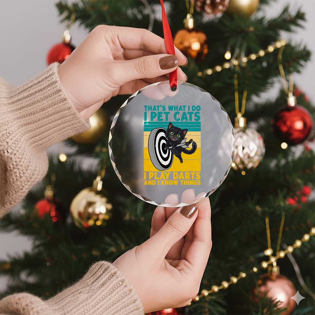 Funny Retro Sunset Cat Darts Crystal Glass Ornament I Pet Cats I Play Darts And I Know Things TS12 Print Your Wear
