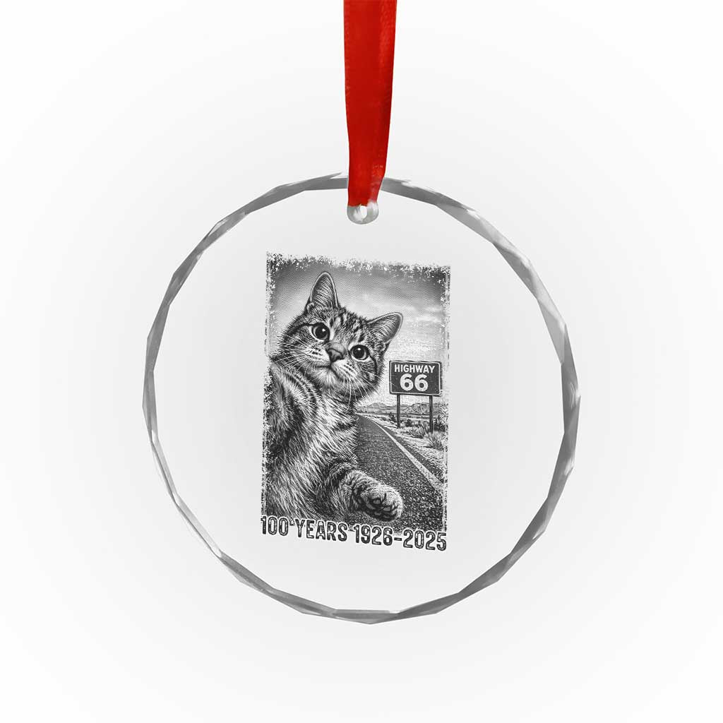 Funny Road Trip Cat Selfie with Highway 66 Crystal Glass Ornament Centennial 1926-2026 Historic Highway Humor TS02 Print Your Wear