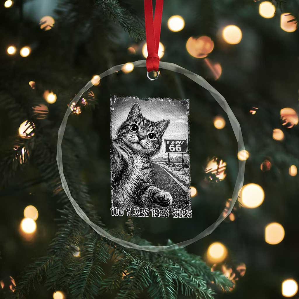 Funny Road Trip Cat Selfie with Highway 66 Crystal Glass Ornament Centennial 1926-2026 Historic Highway Humor TS02 Print Your Wear