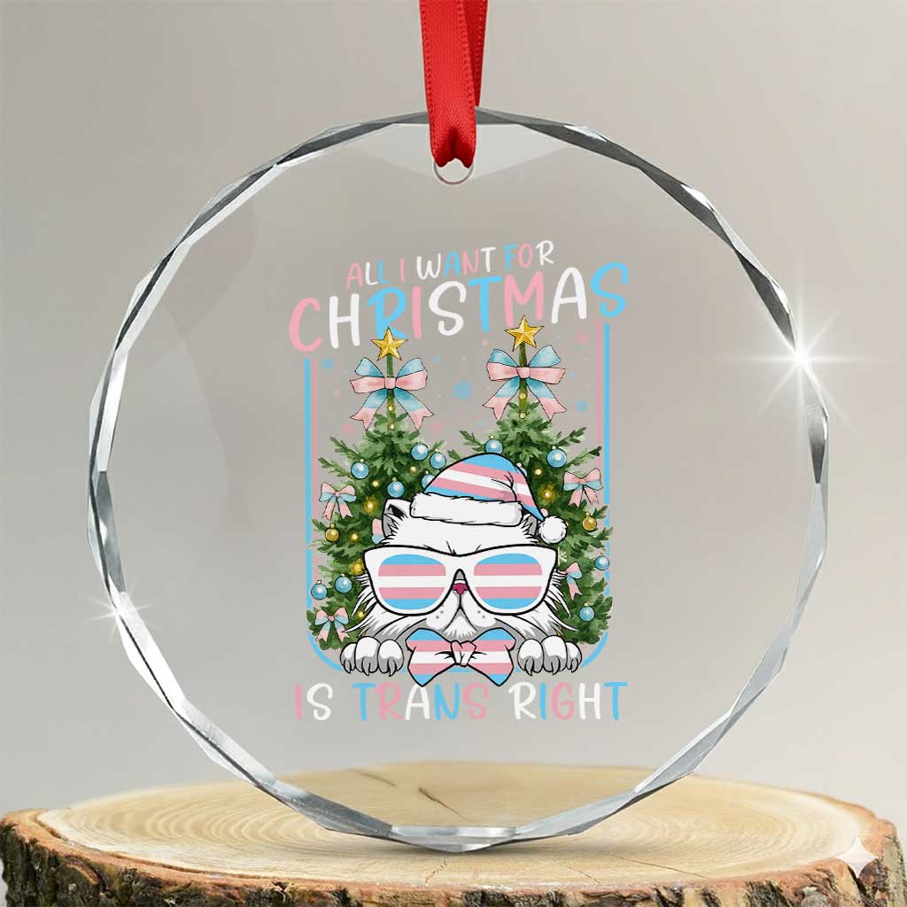 Funny Santa Cat Trans Pride Crystal Glass Ornament All I Want For Christmas Is Trans Rights TS12 Transparent Glass 3'' Circle Print Your Wear