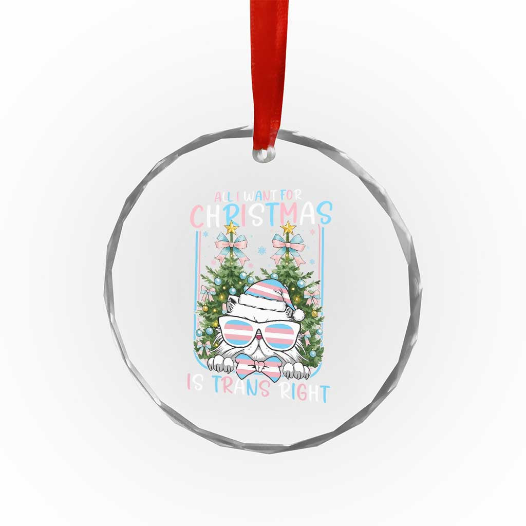 Funny Santa Cat Trans Pride Crystal Glass Ornament All I Want For Christmas Is Trans Rights TS12 Print Your Wear