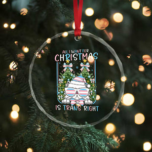 Funny Santa Cat Trans Pride Crystal Glass Ornament All I Want For Christmas Is Trans Rights TS12 Print Your Wear
