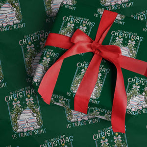 Funny Santa Cat Trans Pride Wrapping Paper Roll All I Want For Christmas Is Trans Rights TS12 Green Print Your Wear