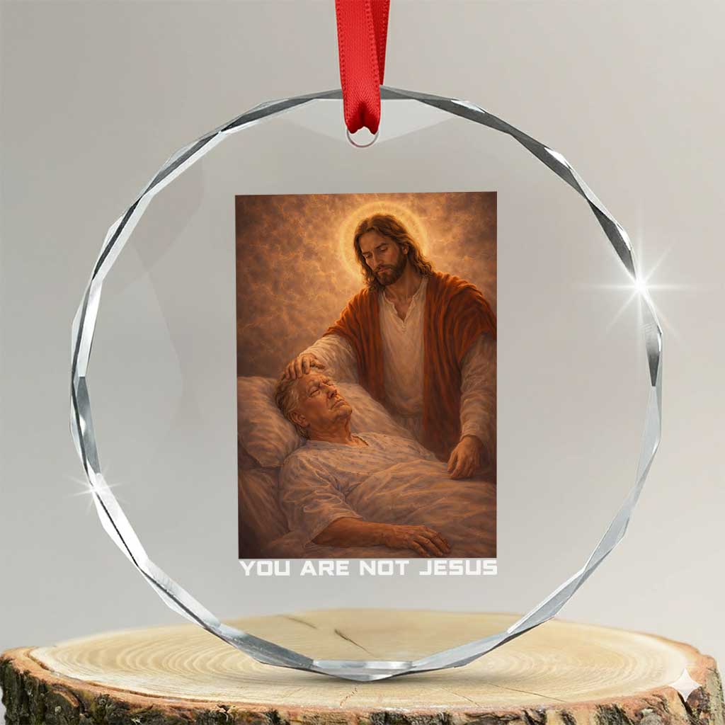 Funny Sarcastic Political Satire Crystal Glass Ornament You Are Not Jesus TS12 Transparent Glass 3'' Circle Print Your Wear
