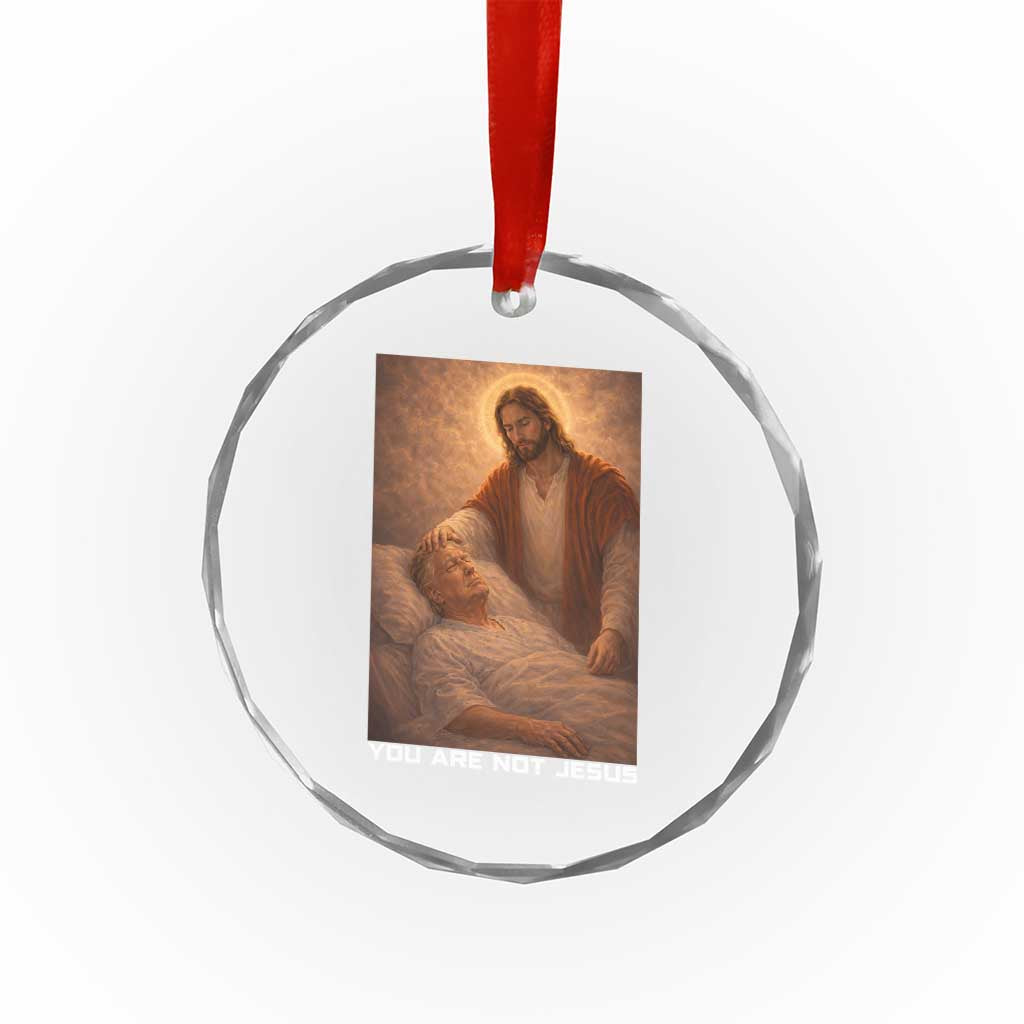 Funny Sarcastic Political Satire Crystal Glass Ornament You Are Not Jesus TS12 Print Your Wear