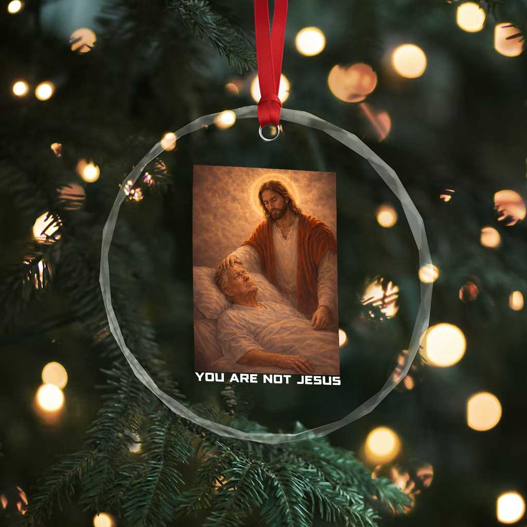 Funny Sarcastic Political Satire Crystal Glass Ornament You Are Not Jesus TS12 Print Your Wear