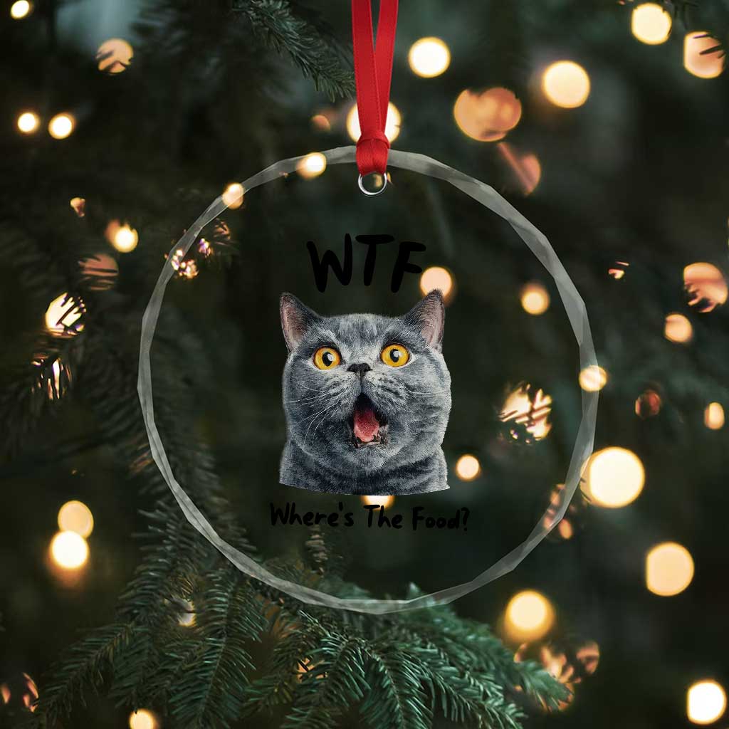 Funny Shocked British Shorthair Cat Crystal Glass Ornament Where Is The Food TS12 Print Your Wear