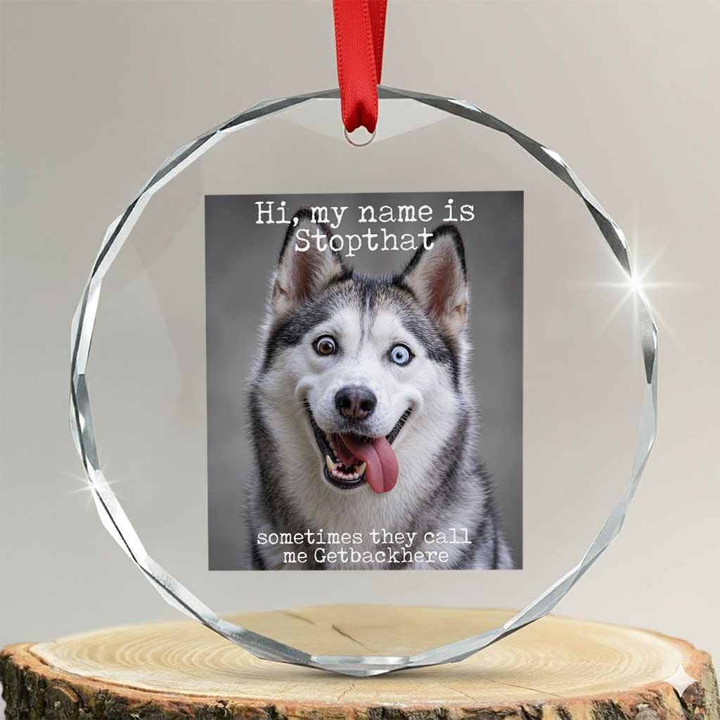 Funny Siberian Husky Meme Crystal Glass Ornament My Name Is Stop That TS12 Transparent Glass 3'' Circle Print Your Wear