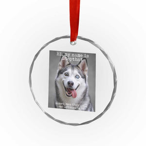 Funny Siberian Husky Meme Crystal Glass Ornament My Name Is Stop That TS12 Print Your Wear