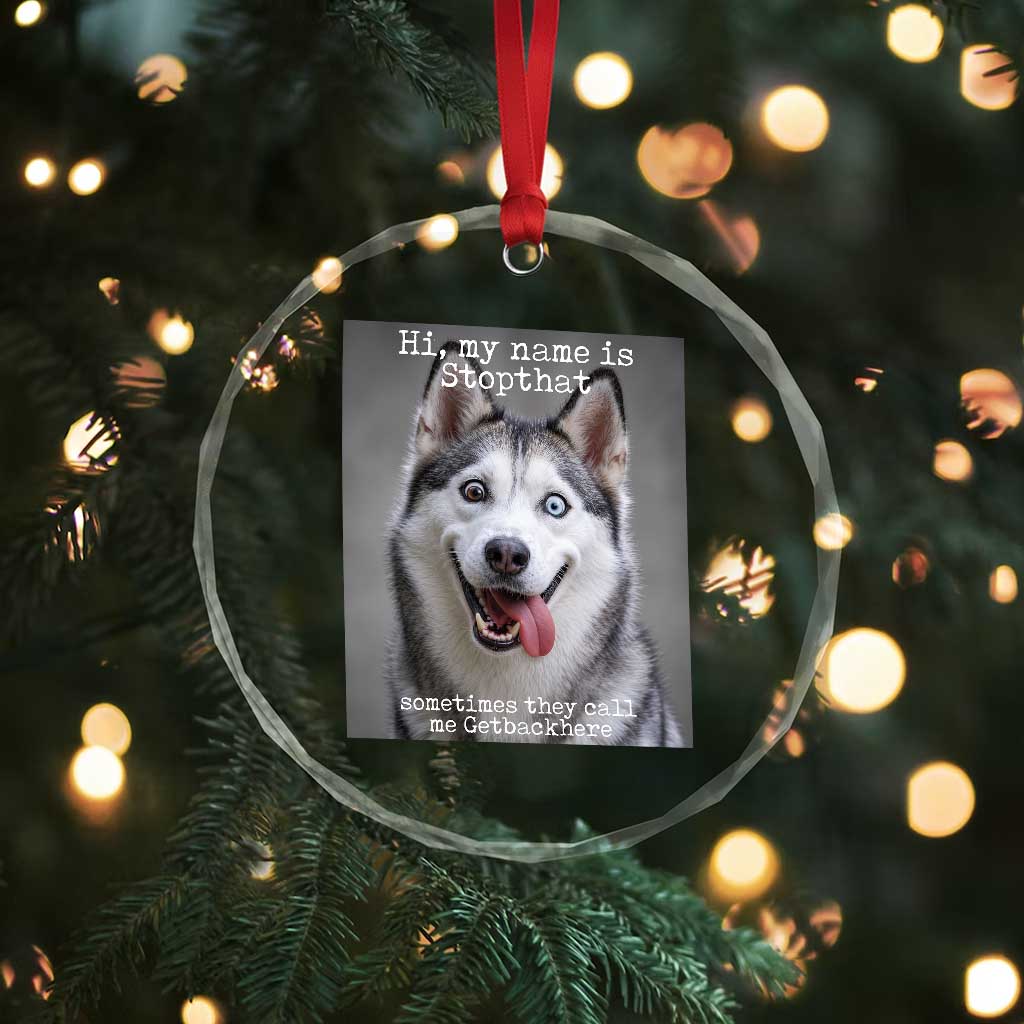 Funny Siberian Husky Meme Crystal Glass Ornament My Name Is Stop That TS12 Print Your Wear