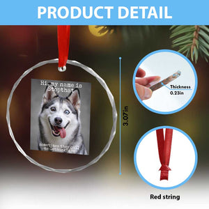 Funny Siberian Husky Meme Crystal Glass Ornament My Name Is Stop That TS12 Print Your Wear
