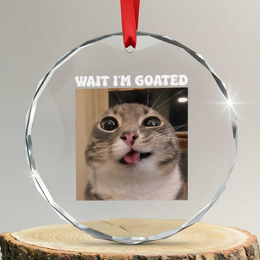 Funny Silly Cat Meme Crystal Glass Ornament Wait Im Goated TS12 Transparent Glass 3'' Circle Print Your Wear